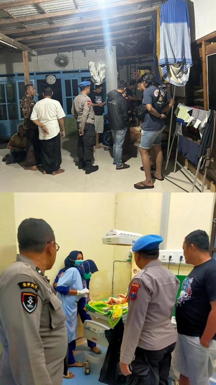 WhatsApp Image 2026 02 12 at 11.24.08