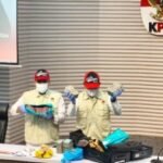 WhatsApp Image 2026 03 12 at 05.31.06