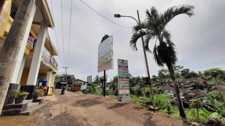 WhatsApp Image 2026 04 01 at 11.56.47