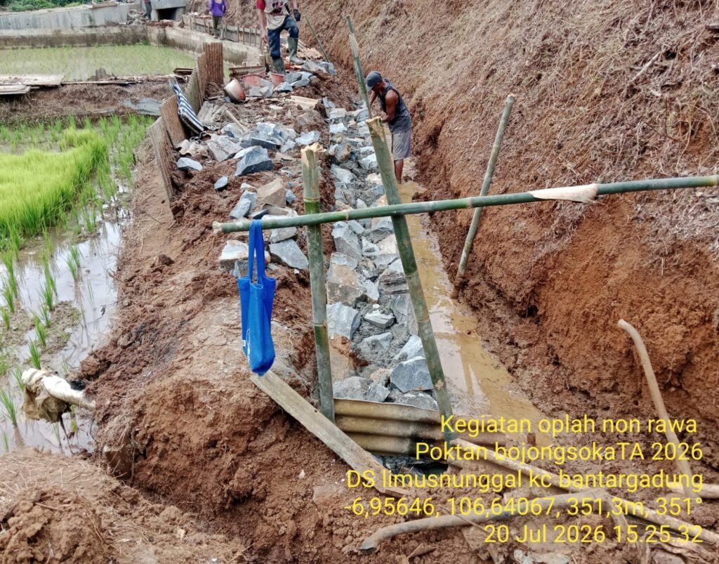 Poktan Bojongsoka Laksanakan Program Oplah Non Rawa dan RJIT Tahun Anggaran 2026 2 WhatsApp Image 2026 07 21 at 20.45.21