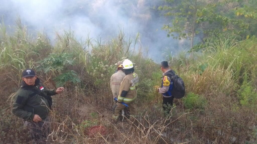 Gercep, Polsek Cidadap Bersama Forkopimcam, Damkar dan Warga Tangani Kebakaran Alang-Alang dan Pohon Bambu 2 WhatsApp Image 2026 09 17 at 09.02.081