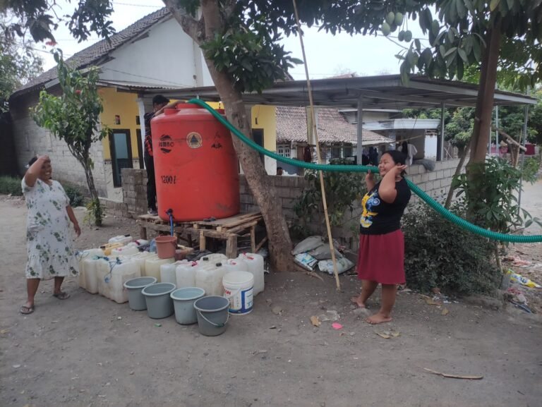 WhatsApp Image 2026 10 10 at 12.31.20